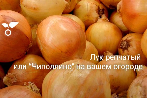 Кракен сайт с наркотиками