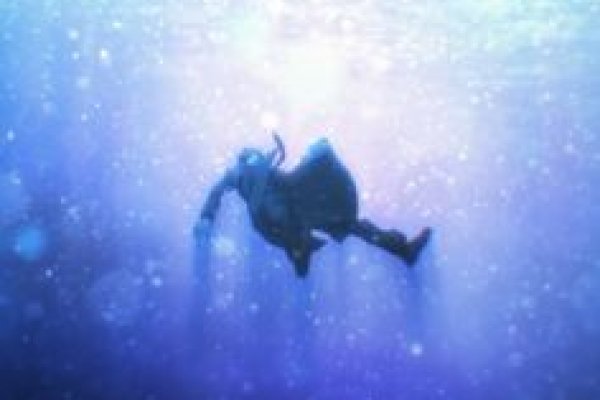 Kraken darknet зеркала