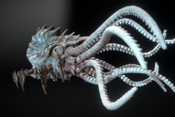 Kraken shop ссылка
