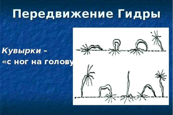 Браузер для кракен