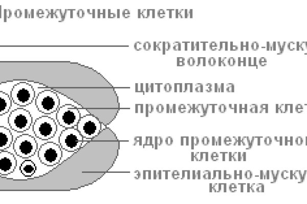 Kraken купить клад
