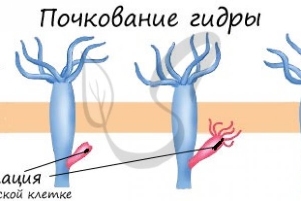 Кракен макет плейс