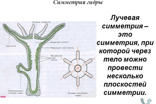 Kraken смылка